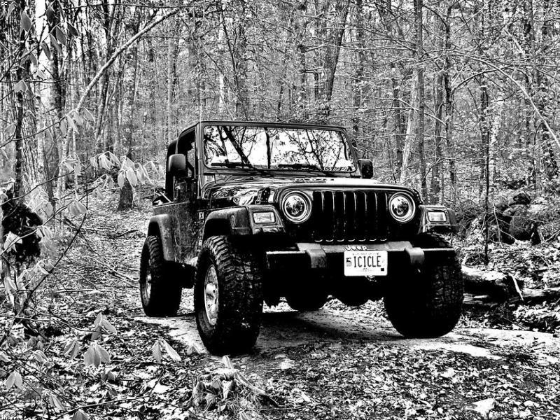 Jeep Wrangler Rubicon